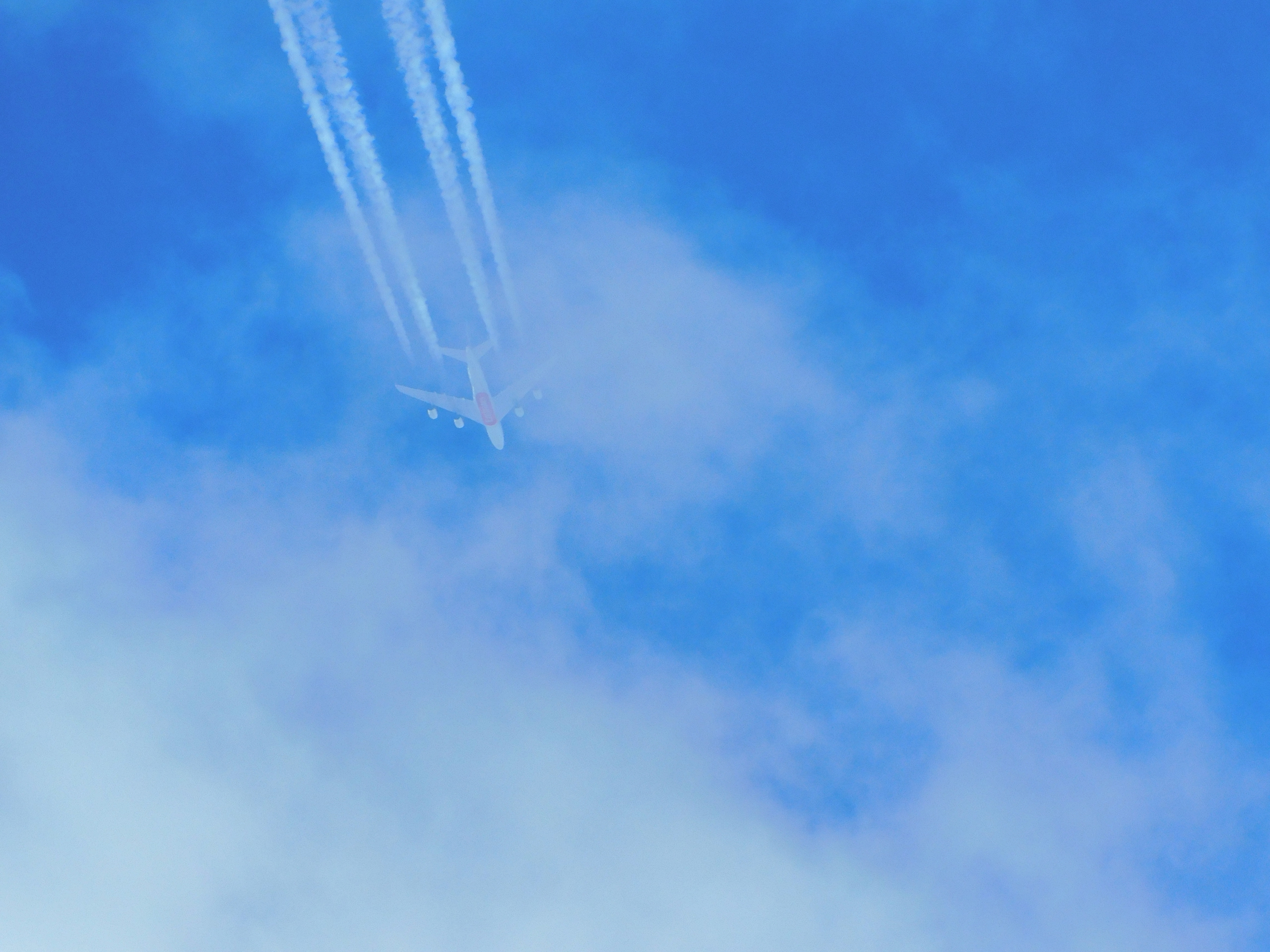 Слетала с подругой в Питер на два дня: зареклась, что больше не вернется никогда