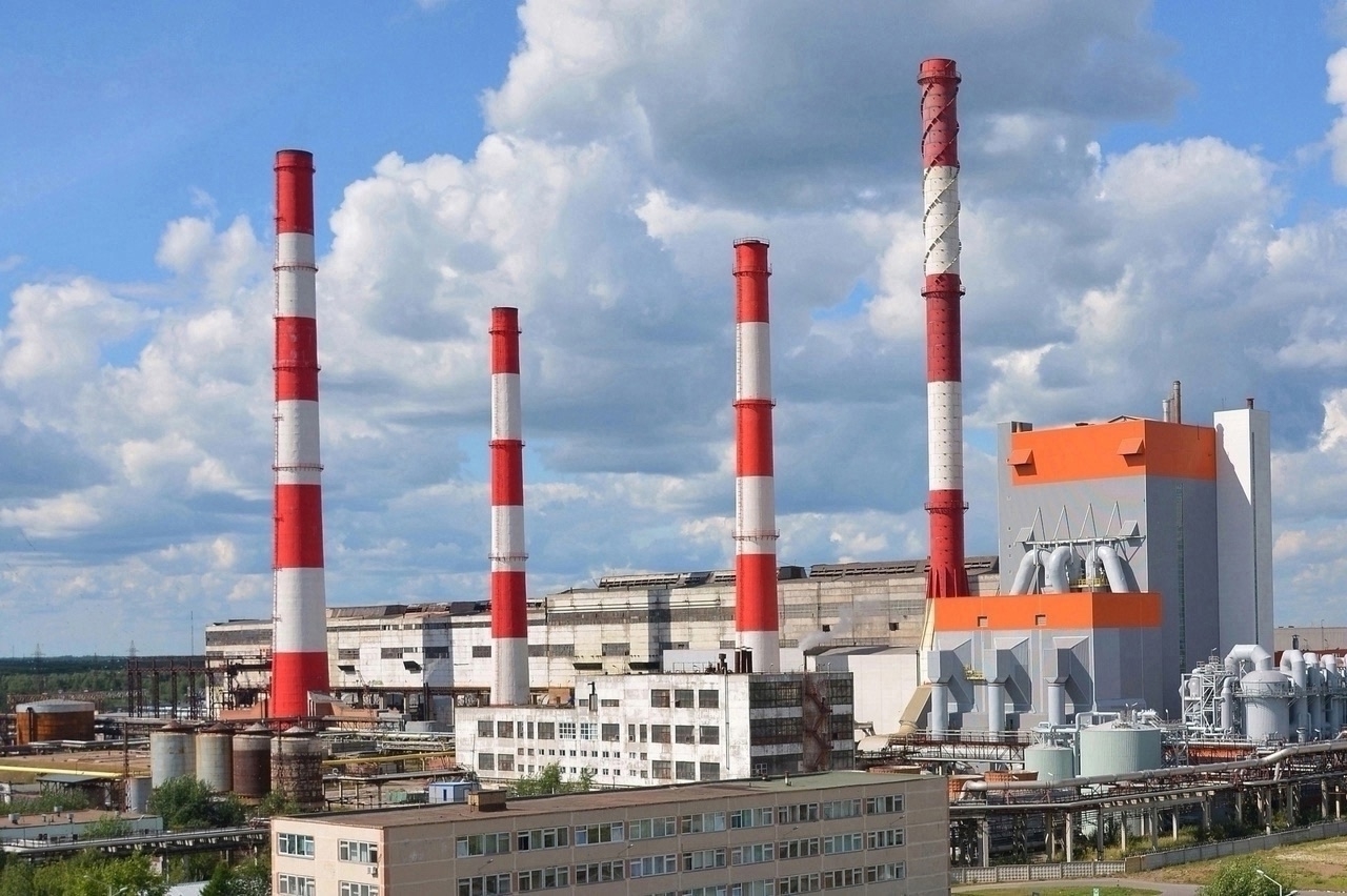 СЛПК помог реализовать более 80 соцпроектов в Коми в 2025 году