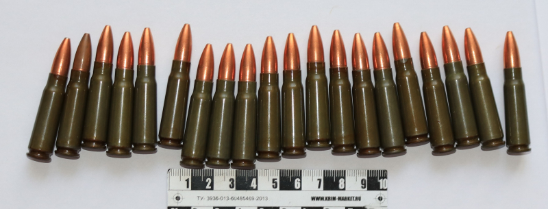 Полиция Сыктывкара изъяла более 100 патронов у жителя Коми