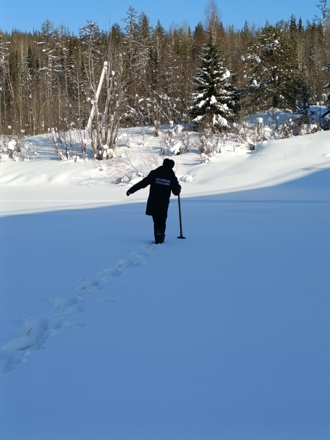 После аварии с КамАЗом на трассе «Сыктывкар — Нарьян-Мар» начали проверять ущерб для реки