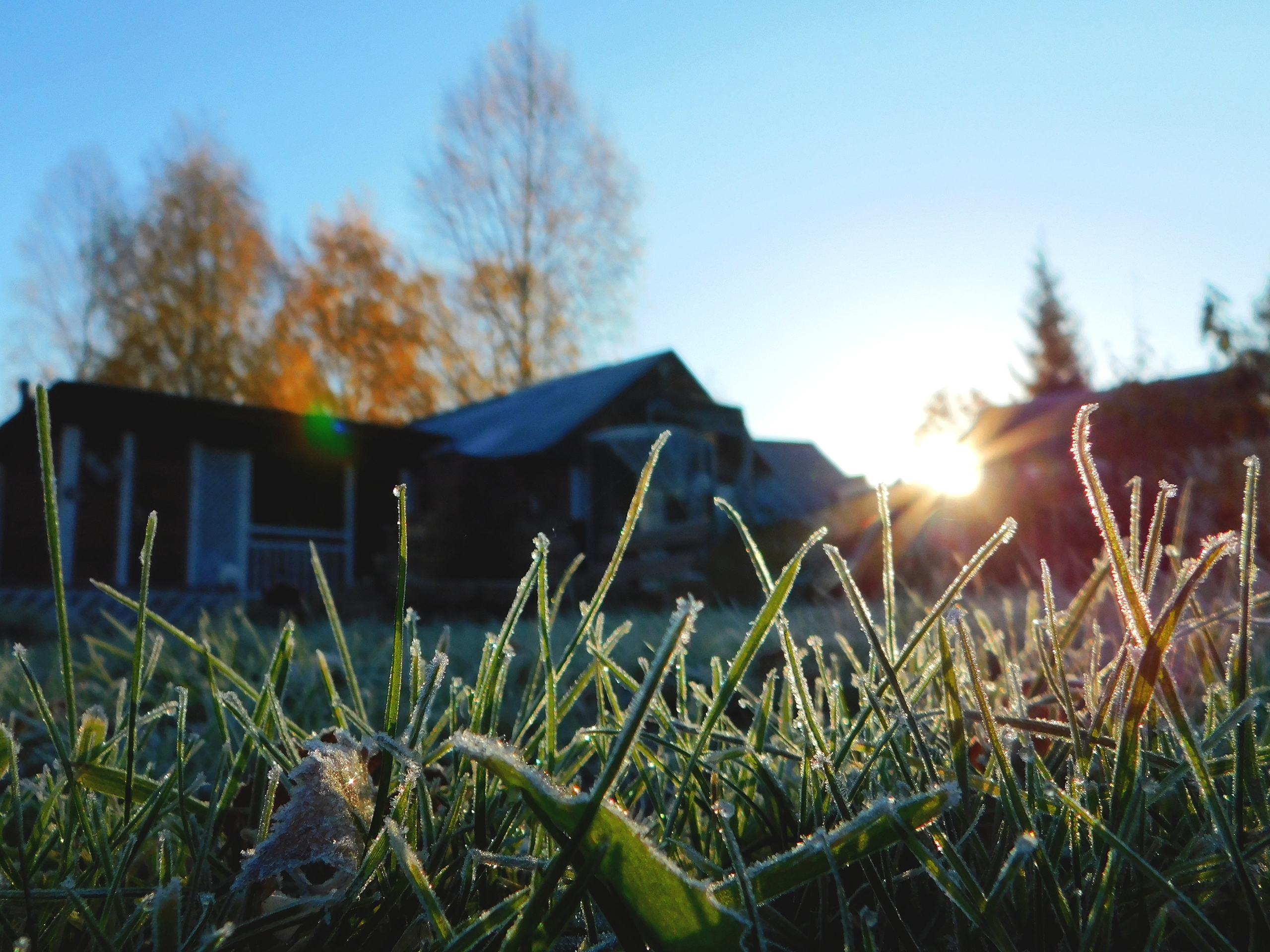 5 ошибок садоводов по весне, которые совершают даже опытные огородники: Подходим к сезону с умом