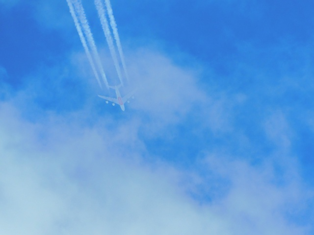 Два ключевых утренних рейса «Аэрофлота» из Сыктывкара в Москву не взлетели