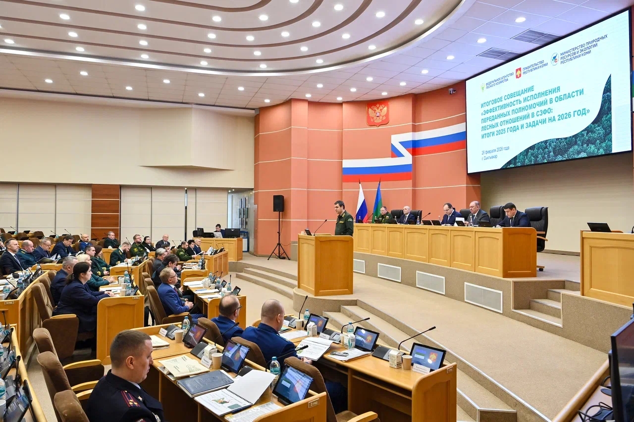 Республика Коми признана одним из наиболее результативных регионов России в сфере управления лесными ресурсам