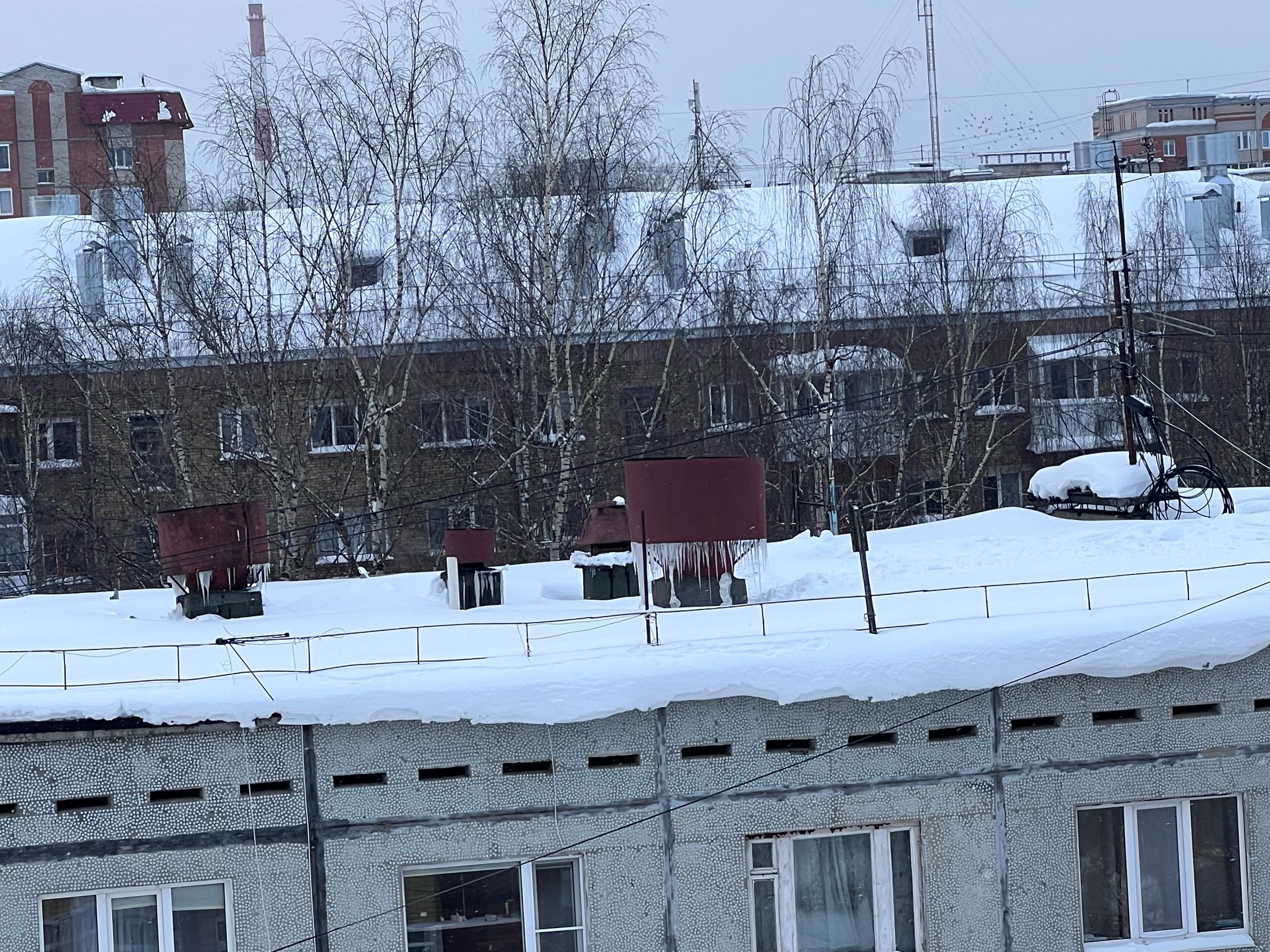 В сыктывкарском "Лесозаводе" жильцы не спят из-за нашествия "пришельцев"