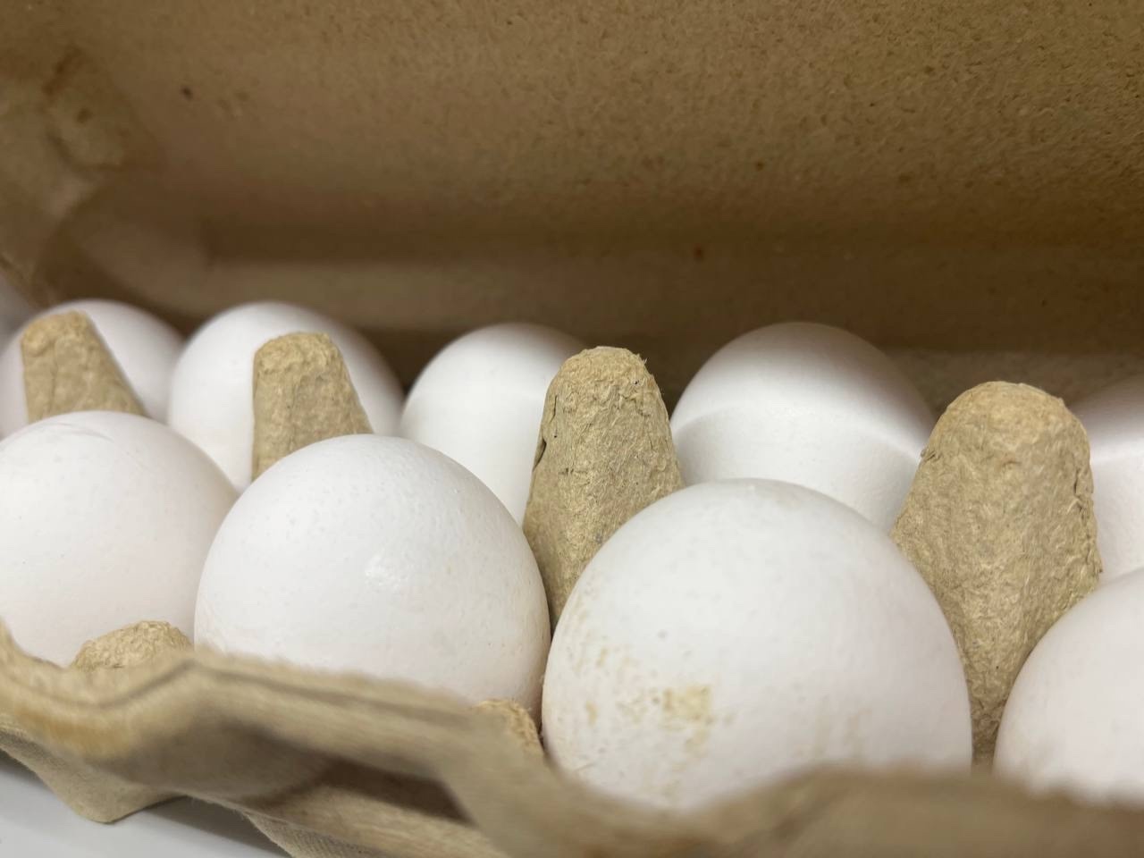 Взял попробовать яйца по 69 рублей в «Чижике»: только дома выяснил, какие они – честный отзыв