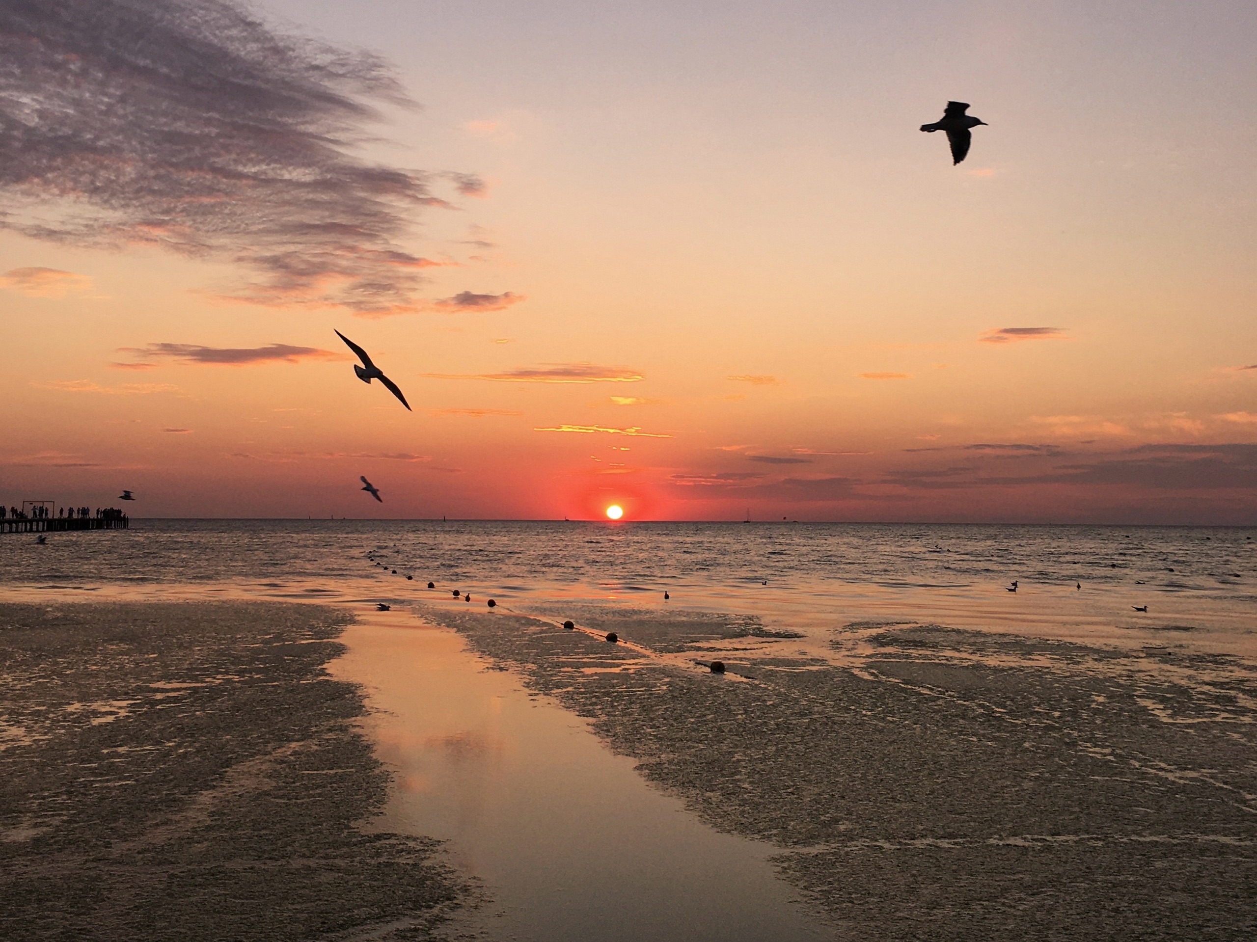 Райский уголок или испытание на прочность? Российские туристы разочарованы поездкой в Абхазию