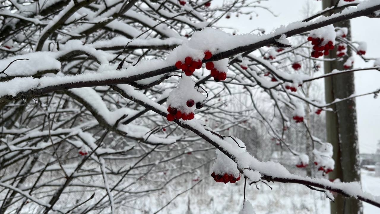 В Коми на юг 7 марта надвигается снегопад, а на севере ударят морозы до -44°