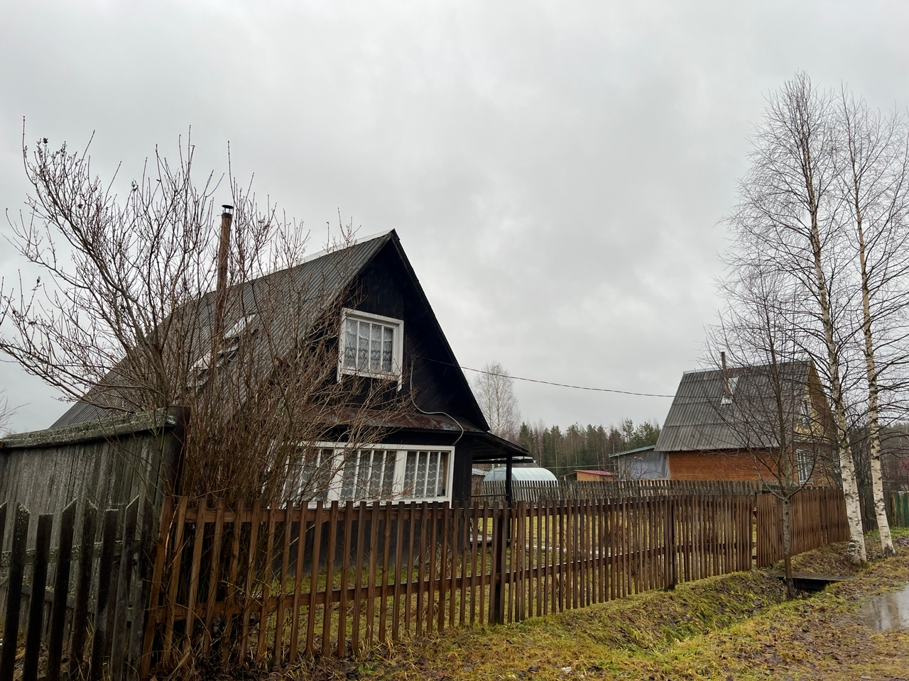 Жителям Коми рассказали, как получить бесплатную древесину для постройки дома