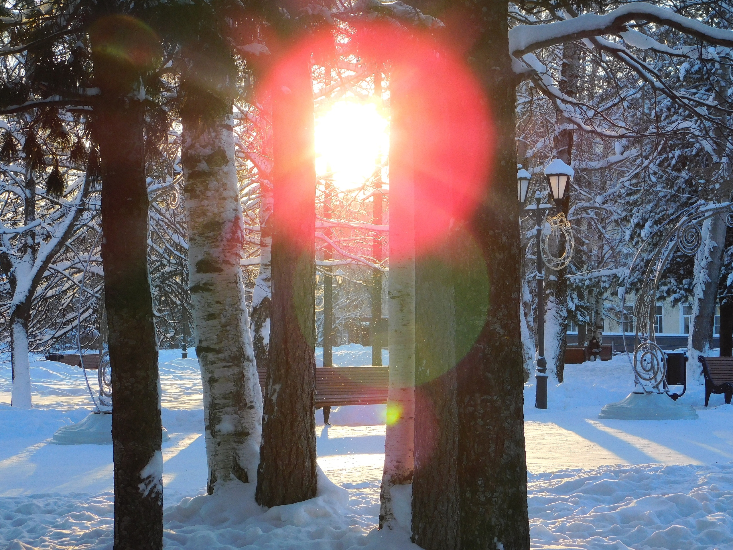 В Коми 8 марта ожидаются 45-градусные морозы: погода в регионе на воскресенье