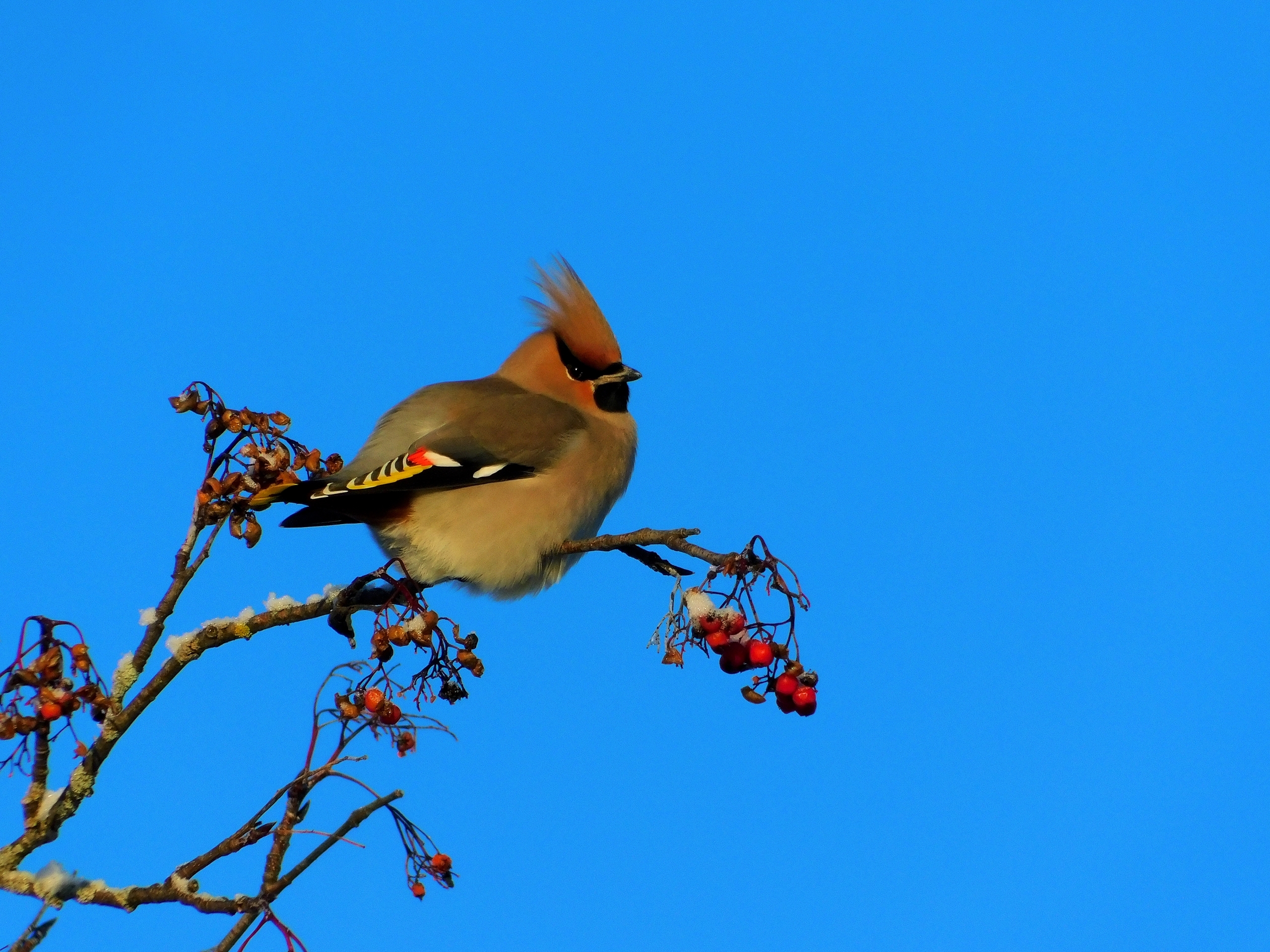 В Коми 9 марта ослабнут морозы: синоптики рассказали о прогнозе на понедельник