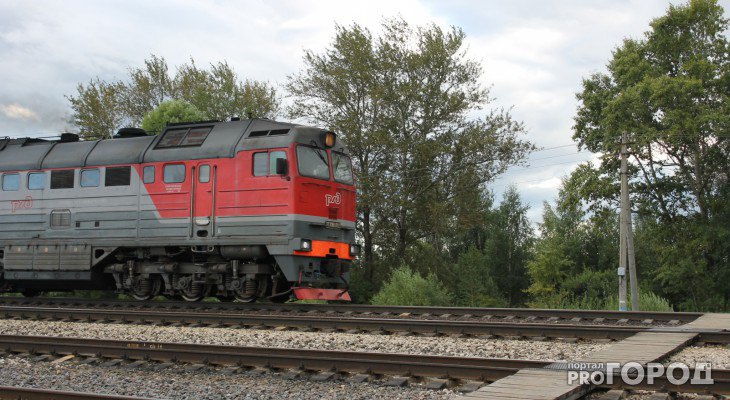 В Подмосковье поезд насмерть сбил ребенка
