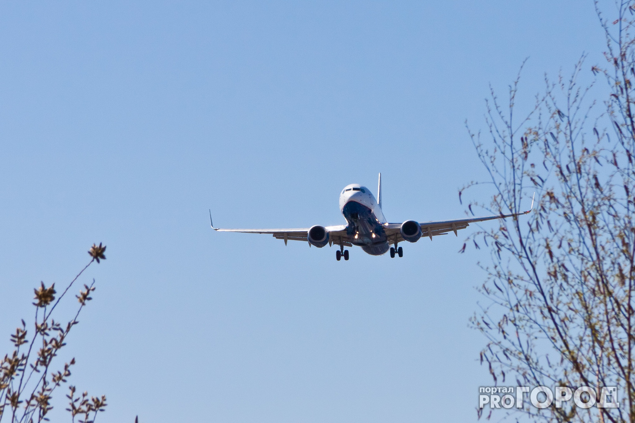 Сыктывкар за день 21 января: закрытый аэропорт и массовое ДТП