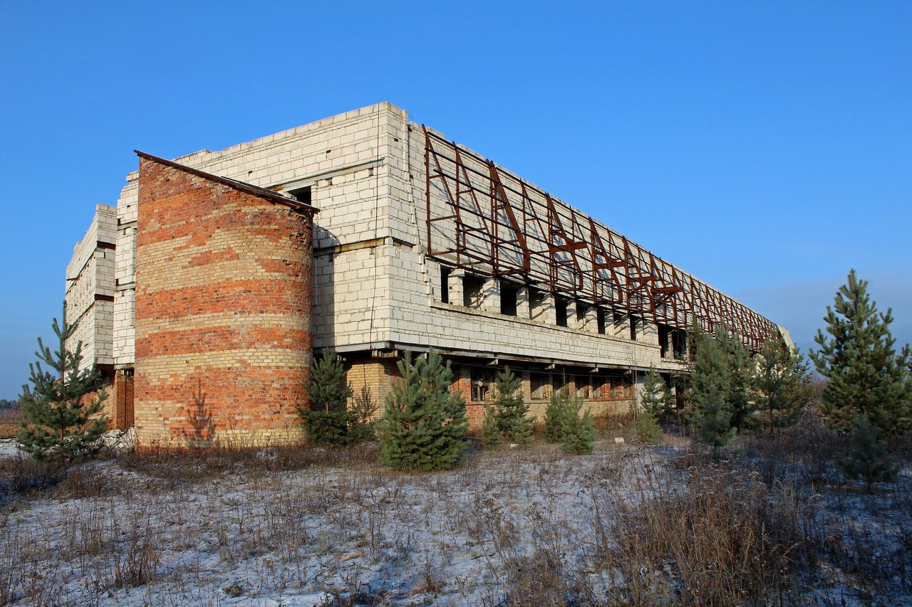 Под Сыктывкаром поймали преступников, которые обворовали аэропорт в Соколовке