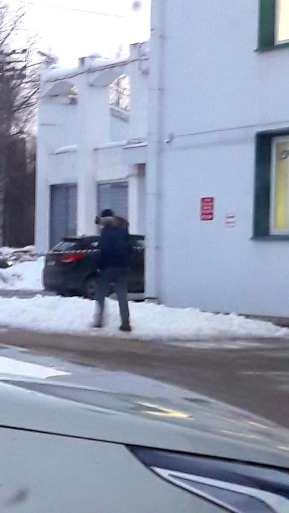 Фото дня в Сыктывкаре: как правильно выгуливать кота весной