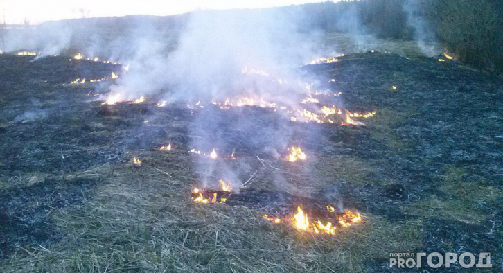 В Коми полыхали 10 тысяч «квадратов» сухой травы