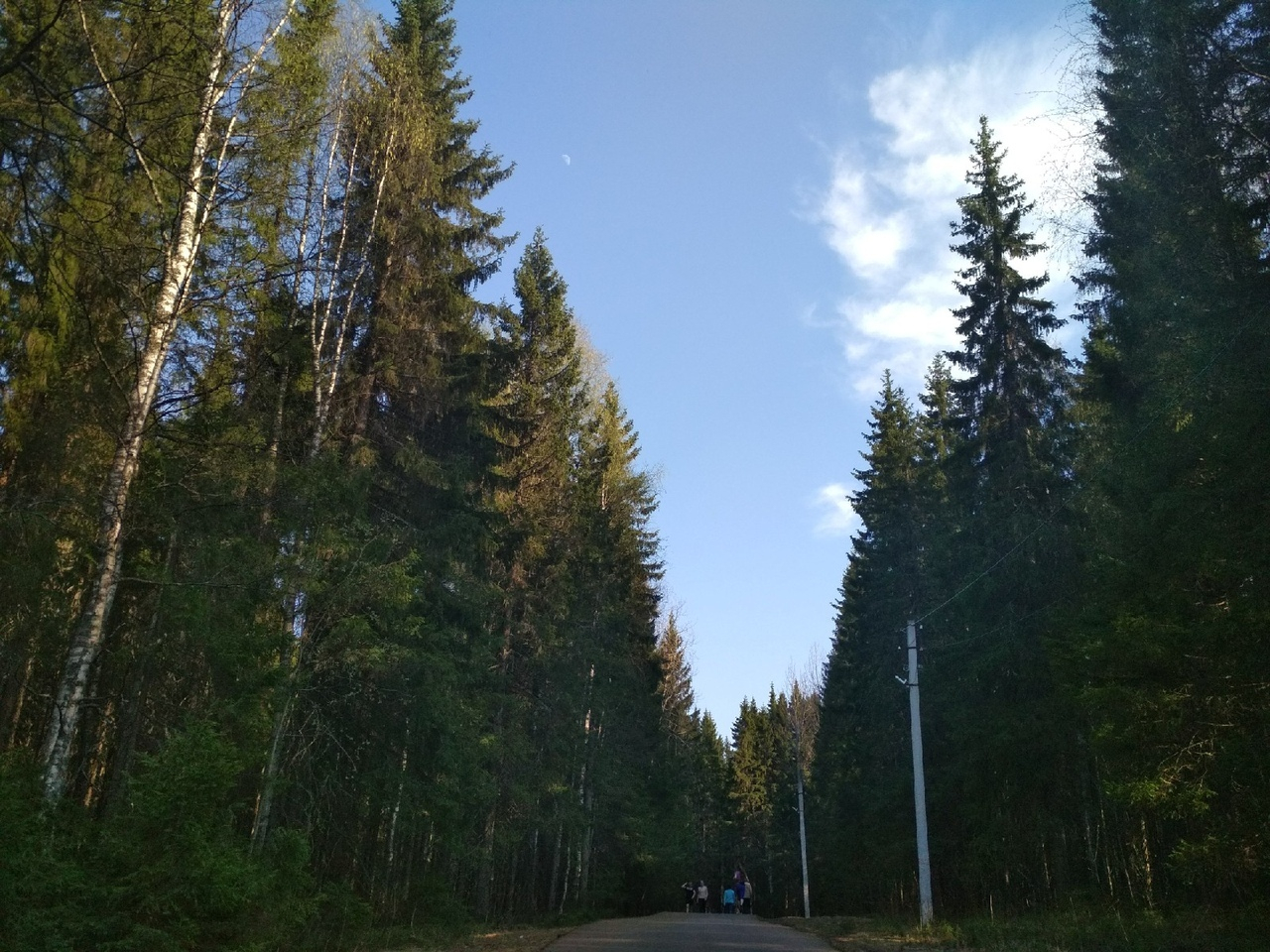 Погода в Сыктывкаре на 22 мая: тепло и безветренно