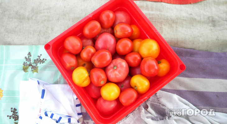 В Коми стали дешевле яйца, но подорожал лук