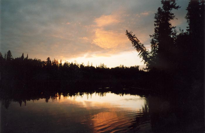 В Коми ищут пенсионера, который пошел проверить рыболовную сеть и исчез