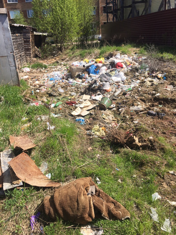 «Сами свиньи»: сыктывкарцы о страшной свалке под окнами жилого дома