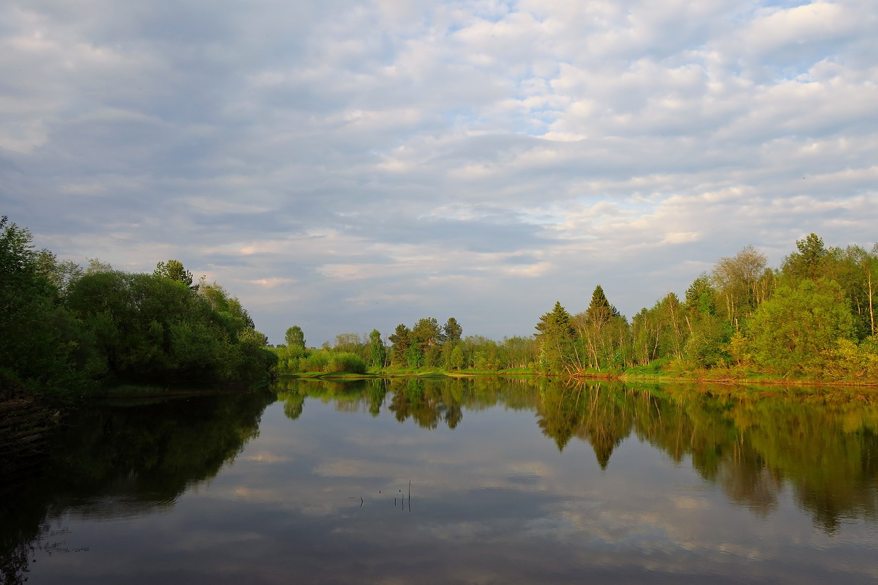 Житель Коми, тело которого искали спасатели, «воскрес» и вернулся домой