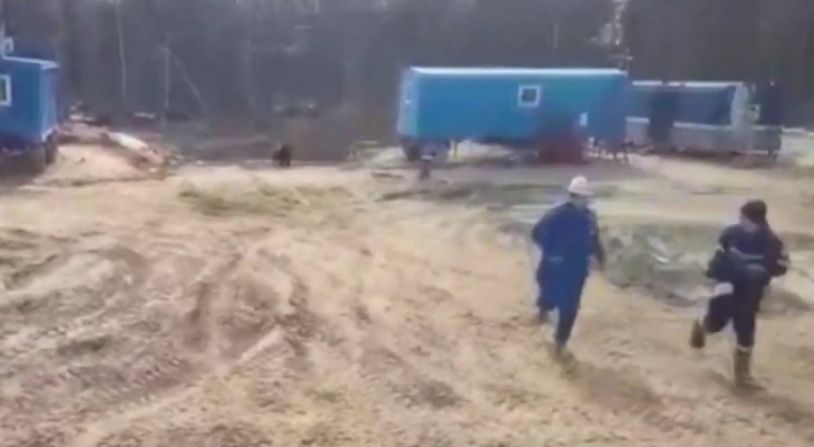 Итоги недели в Коми: медвежья погоня, черви в утке и гигантский град с потопом