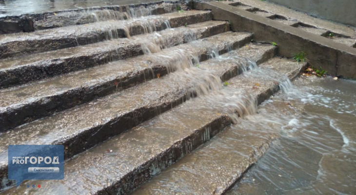 Синоптики рассказали, каким будет лето в Сыктывкаре