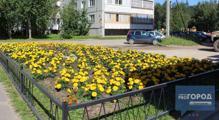 Погода в Сыктывкаре 9 июня: невыносимая жара, гроза и дождь