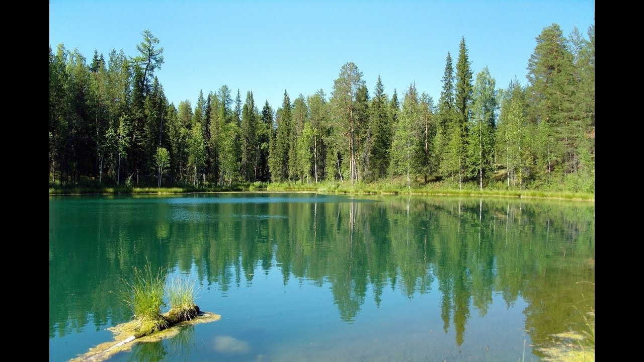 В Коми искали рыбака, который «отключился» в кустах