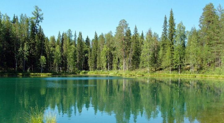 В Коми нашли тело рыбака, которого искали целый месяц