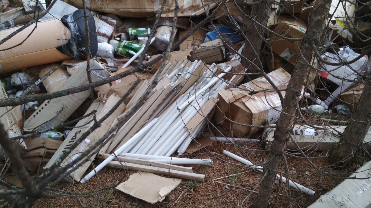 В коми лесу обнаружили свалку опасных отходов