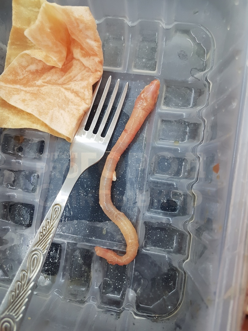 Сыктывкарка купила мясо с огромным червем (фото)