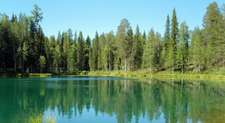 На реках Коми ищут сразу пять человек