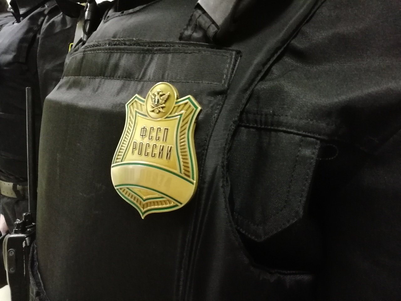 Из Коми выдворили лесоруба, который оказался нелегалом из Германии