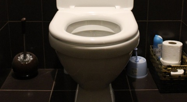 Жительница Коми стащила у подруги деньги и смыла их в унитаз