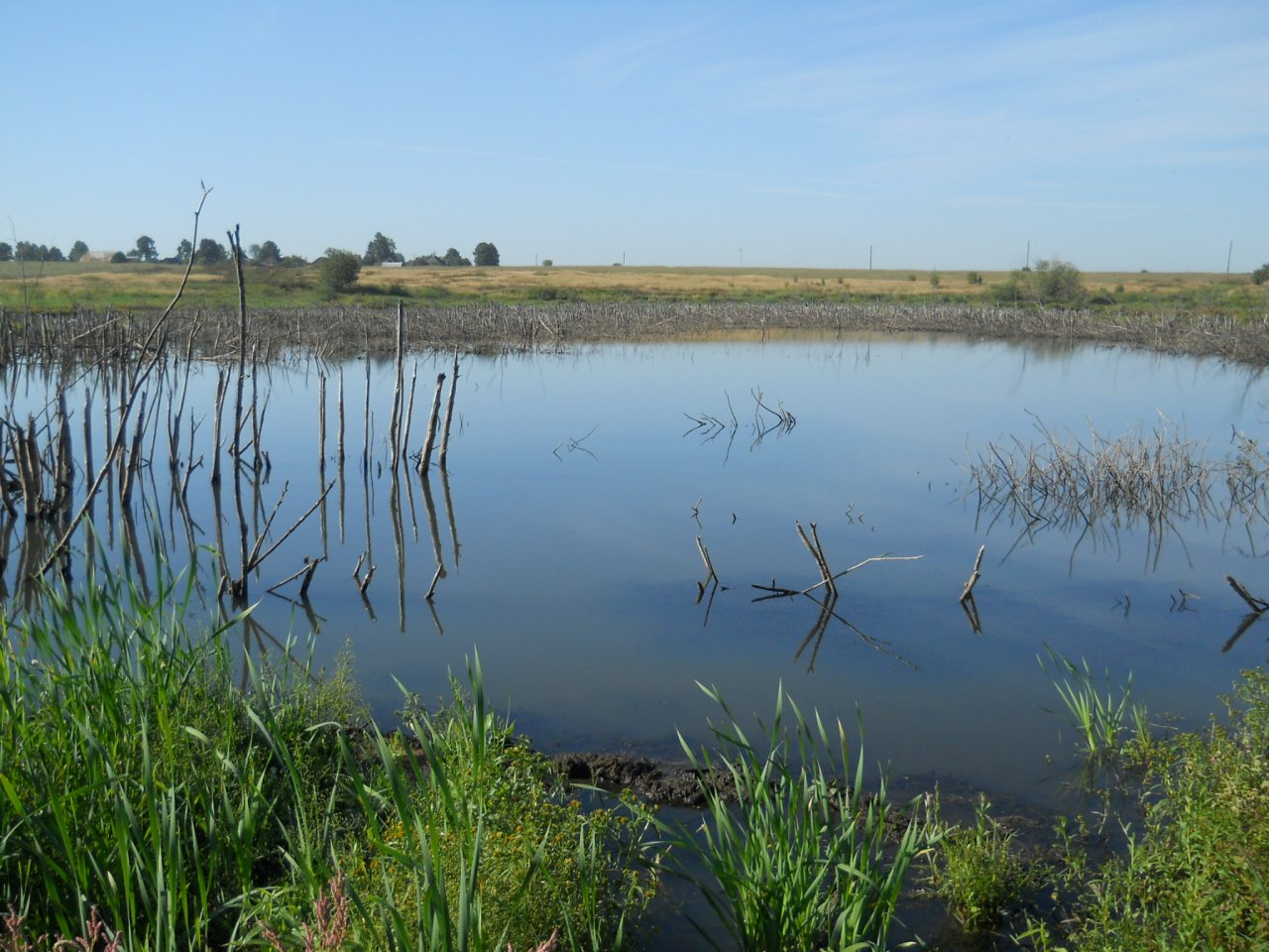 В Коми пенсионер за рулем ВАЗа заехал в пруд и утонул