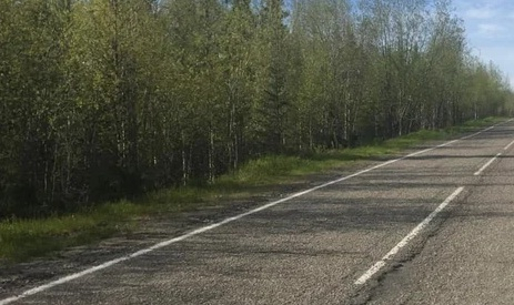 На трассе в Коми съехал в кювет пьяный начинающий водитель