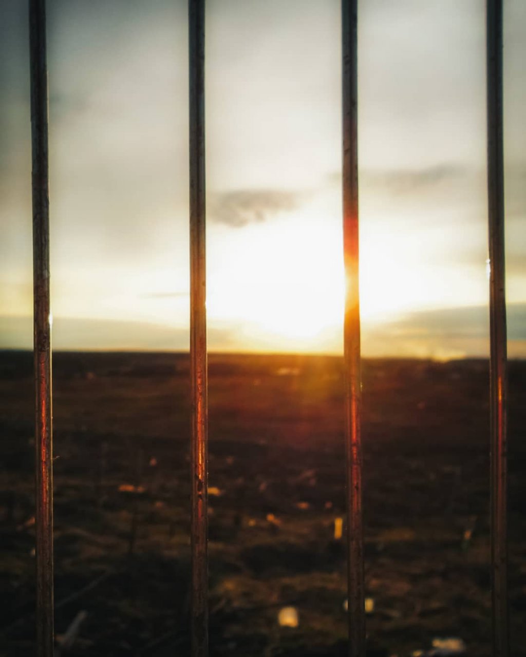 Фото дня в Сыктывкаре: солнечный закат в корзине для продуктов