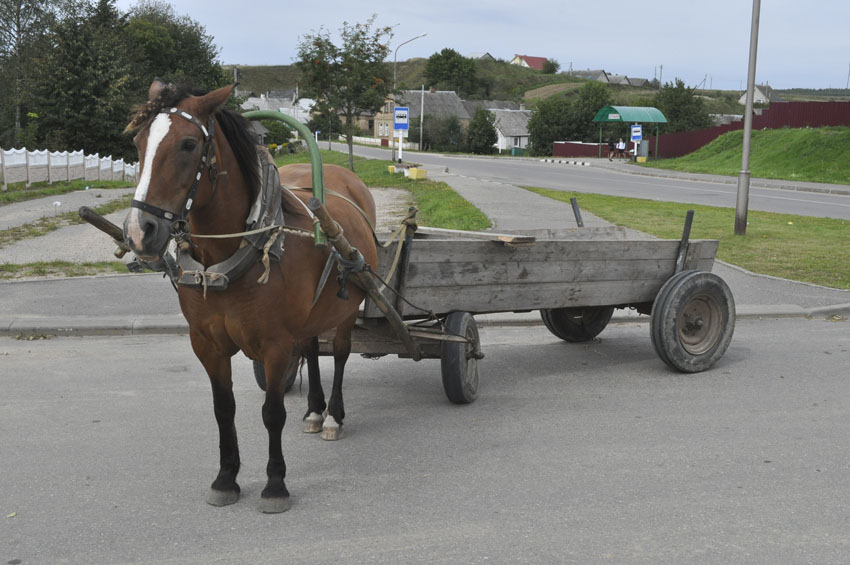 Житель Коми попал в больницу после полуночной аварии с гужевой повозкой