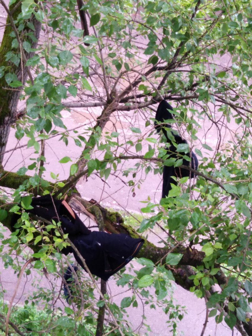 Сыктывкарка: «Моя соседка устраивает 4-дневные оргии и не дает нам жить»