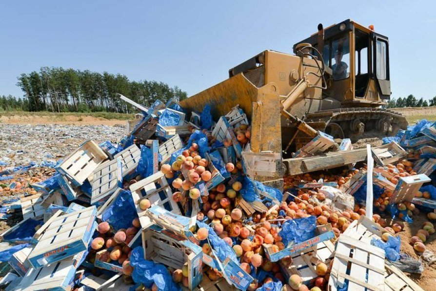 В России решили не уничтожать санкционную еду