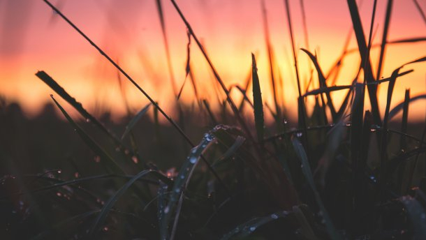 Погода в Сыктывкаре на 18 июля: тепло, но облачно