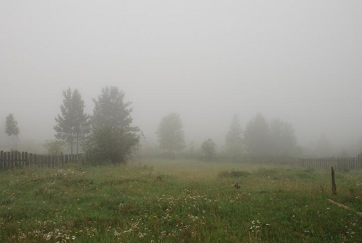 Холодное лето заставило жителей России скупать теплые свитера и резиновые сапоги