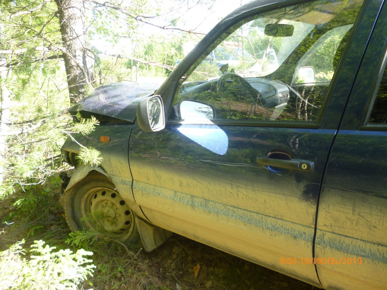В Коми пожилой водитель на «Ниве» влетел в дерево, пострадала 2-летняя девочка