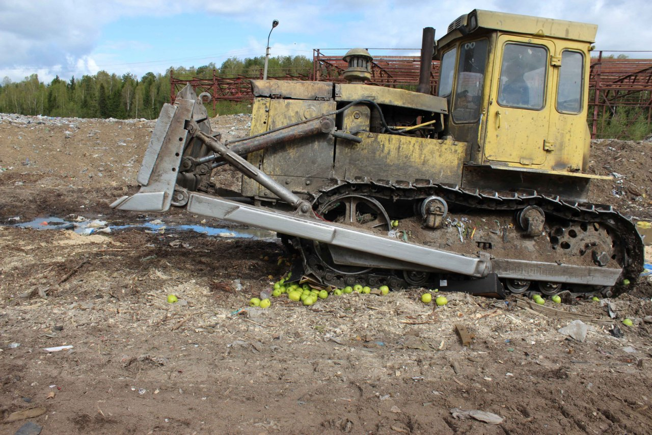 Санкционные продукты перестанут уничтожать: что об этом думают сыктывкарцы