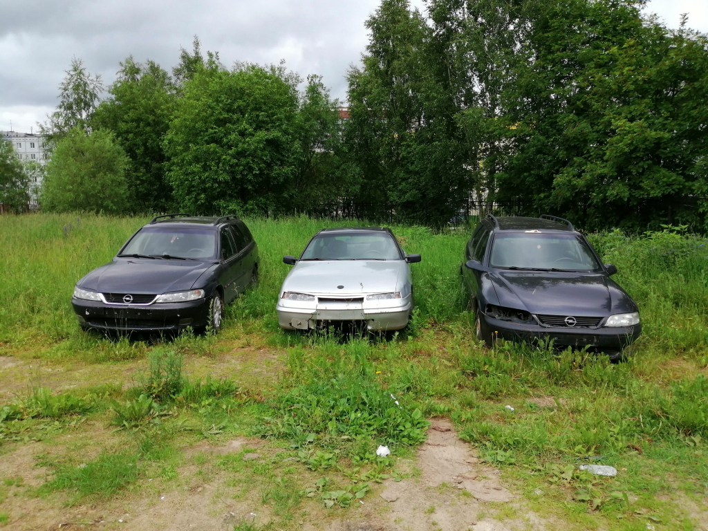 Мэрия Сыктывкара пообещала 100 тысяч рублей тому, кто увезет из города автохлам