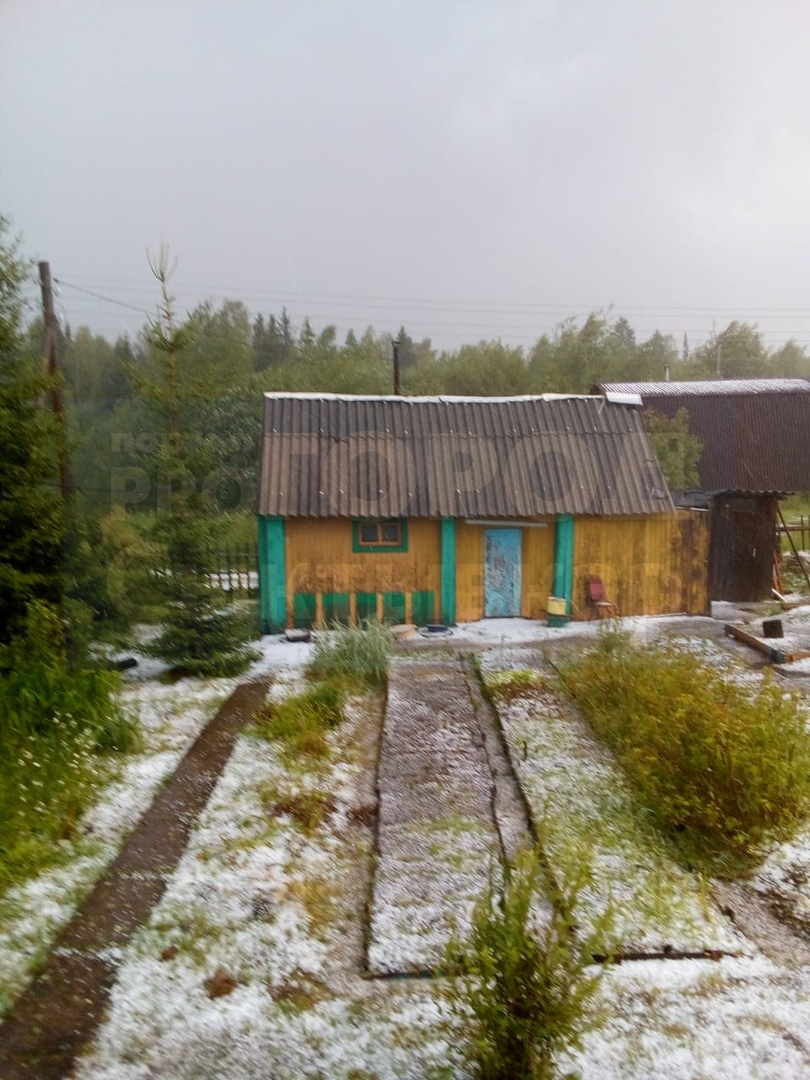 Под Сыктывкаром град покрыл грядки густым слоем льда и побил урожай (фото)