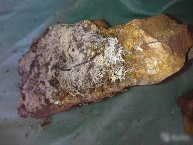 Булыжники за 150 миллионов и рыцарский шлем: топ 5 удивительных вещей с сайтов объявлений в Коми