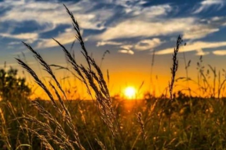 Погода в Сыктывкаре на 26 июля: жаркое солнце и легкий ветерок