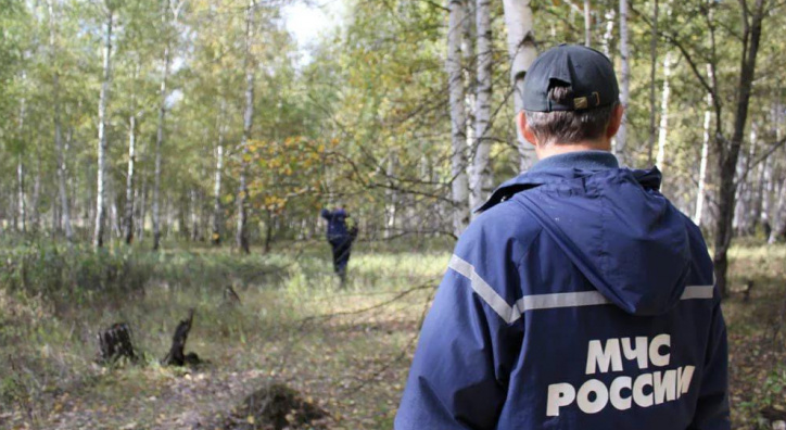 Школьника, который пропал на песчаном карьере под Сыктывкаром, нашли