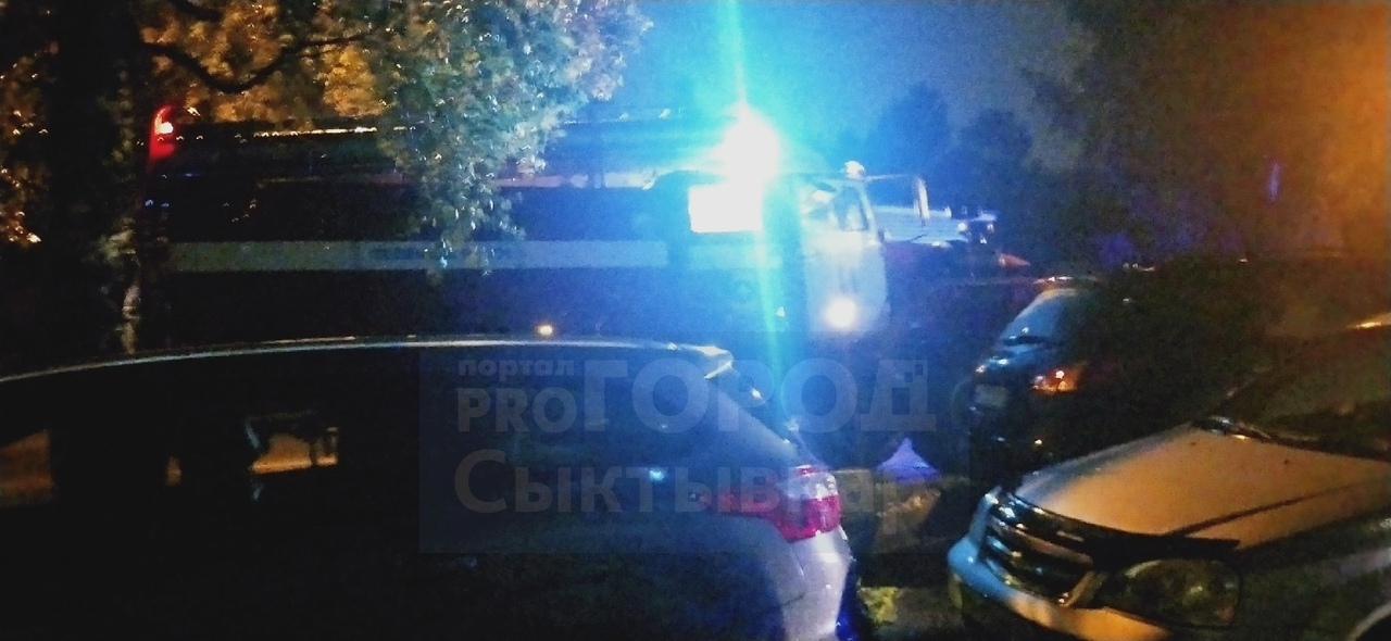 В Сыктывкаре полыхала квартира на девятом этаже (видео)